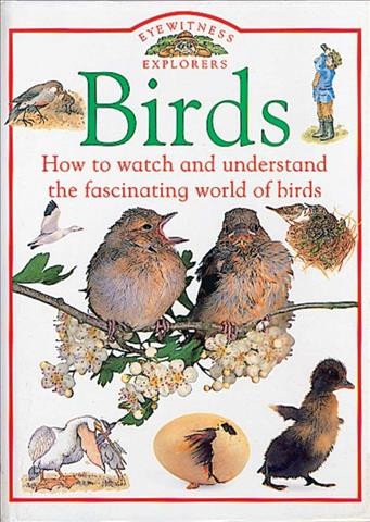 Birds / written by Jill Bailey and David Burnie.