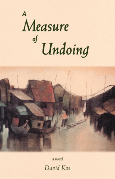 A measure of undoing : a novel / David Kos.