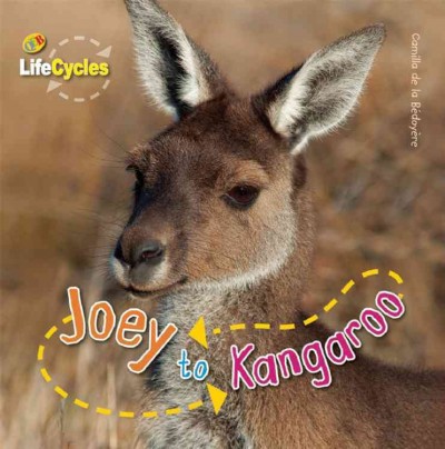Joey to kangaroo / Camilla de la Bedoyere.