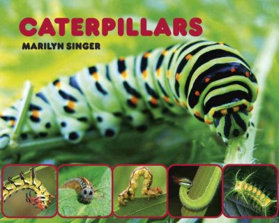 Caterpillars / Marilyn Singer.