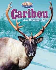 Caribou and reindeer, too / by Joyce Markovics.