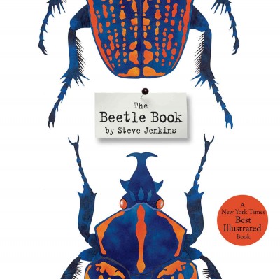 The beetle book / Steve Jenkins.