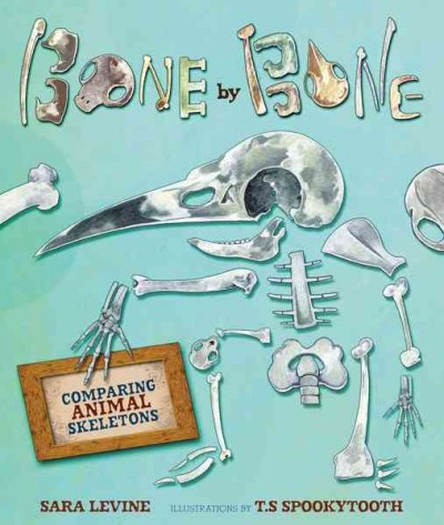 Bone by bone [electronic resource] : comparing animal skeletons / by Sara Levine ; illustrated by T.S Spookytooth.