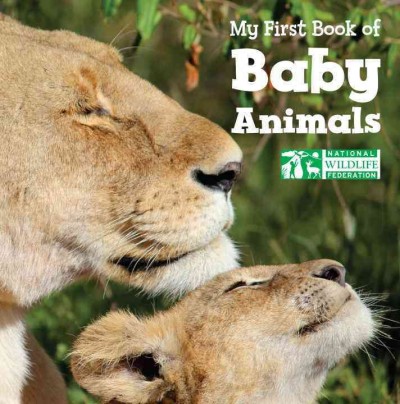 My first book of baby animals /  National Wildlife Federation.