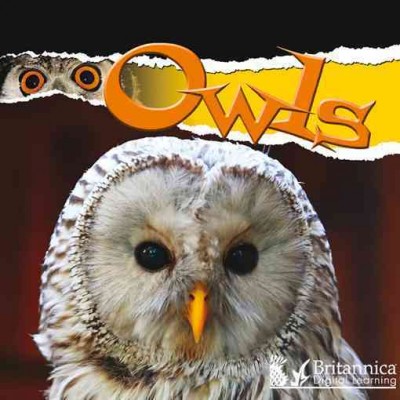 Owls [electronic resource] / Julie K. Lundgren.