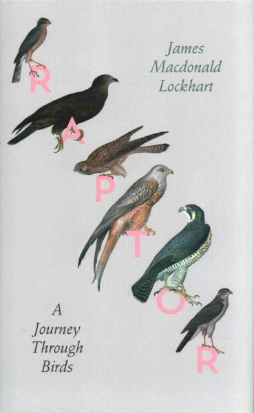 Raptor : a journey through birds / James Macdonald Lockhart.