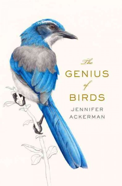 The genius of birds / Jennifer Ackerman ; illustrations by John Burgoyne.