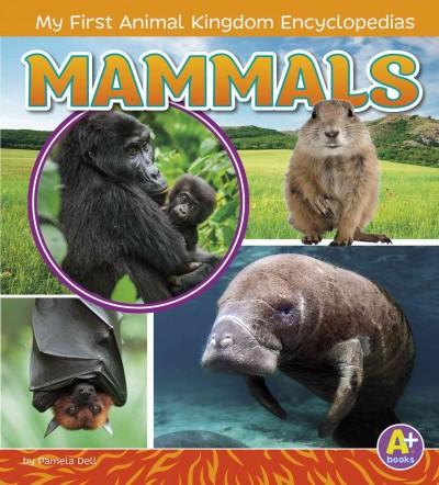 Mammals / by Lisa J. Amstutz ; consultant Jackie Gai, DVM, Wildlife Veterinarian.