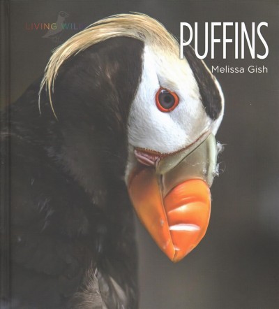 Puffins / by Melissa Gish.