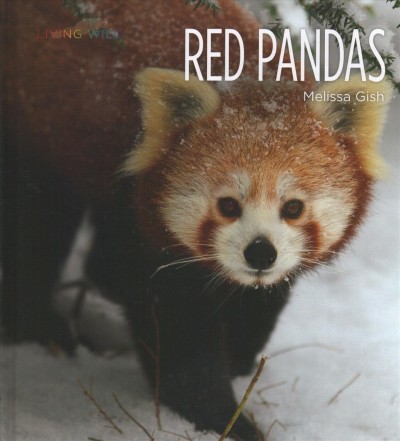 Red pandas / Melissa Gish.