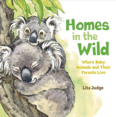Homes in the wild : where baby animals and their parents live / Lita Judge.