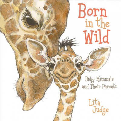 Born in  the wild : baby animals and their parents / Lita Judge.