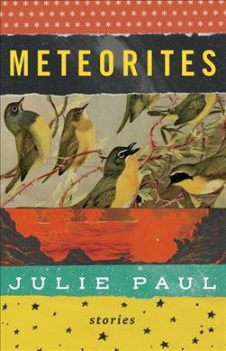 Meteorites : stories / Julie Paul.