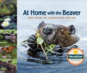 At home with the beaver : the story of a keystone species / Dorothy Hinshaw Patent ; photographs by Michael Runtz.
