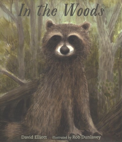 In the woods / David Elliott ; illustrated by Rob Dunlavey.