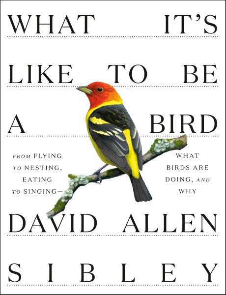 What it's like to be a bird : what birds are doing, and why -- from flying to nesting, eating to singing / written and illustrated by David Allen Sibley.
