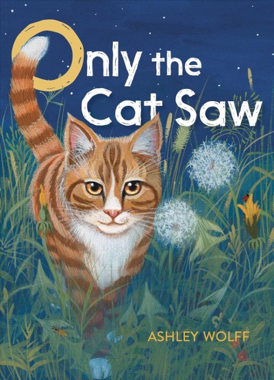 Only the cat saw / Ashley Wolff.