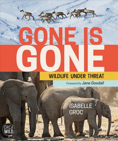 Gone is gone : wildlife under threat / text and photographs byIsabelle Groc.
