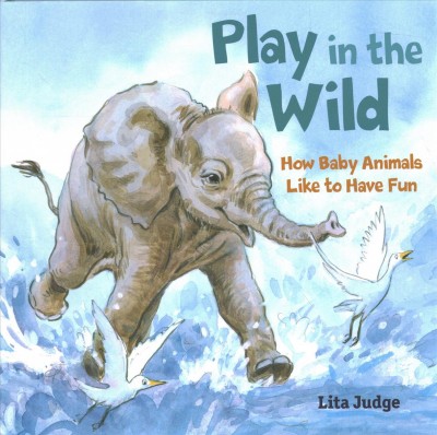 Play in the wild : how baby animals like to have fun / Lita Judge.