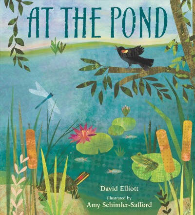 At the pond / David Elliott ; illustrated by Amy Schimler-Safford.