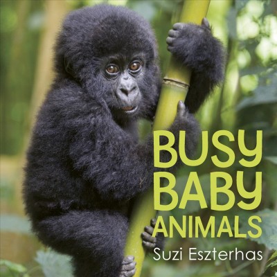 Busy baby animals / Suzi Eszterhas.