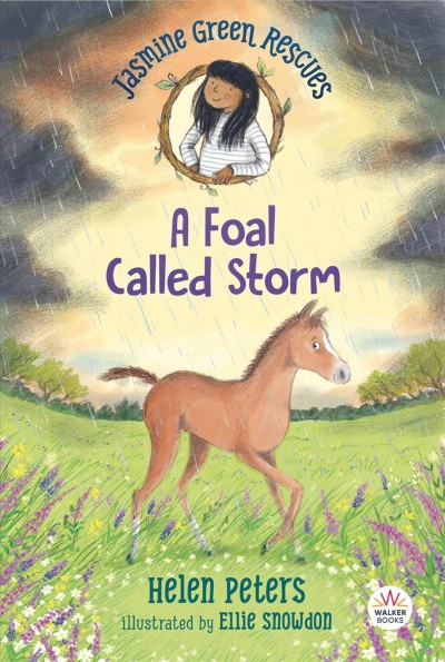 A foal called Storm / Helen Peters ; illustrated by Ellie Snowdon.