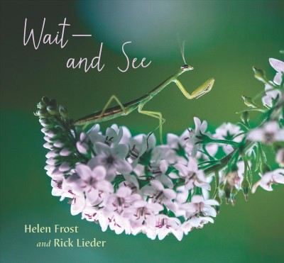 Wait--and see / poem by Helen Frost ; photographs by Rick Lieder.