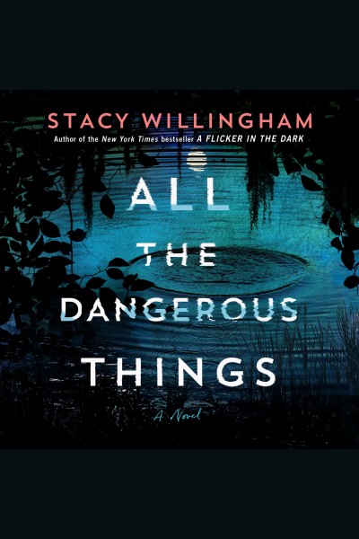 All the dangerous things : a novel / Stacy Willingham.
