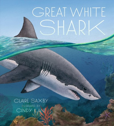 Great white shark / Claire Saxby ; illustrated by Cindy Lane.