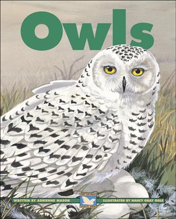 Owls / written by Adrienne Mason ; illustrated by Nancy Gray Ogle.