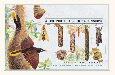 Architecture by birds and insects : a natural art.