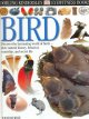 Bird  Cover Image