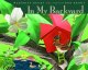 In my backyard  Cover Image