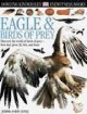 Go to record Eagle & birds of prey