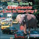 Go to record Why don't elephants live in the city?