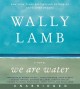 We are water a novel  Cover Image