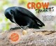 Go to record Crow smarts : inside the brain of the world's brightest bird