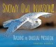 Go to record Snowy owl invasion! : tracking an unusual migration