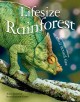 Go to record Lifesize rainforest