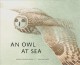 Go to record An owl at sea
