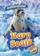 Go to record Harp seals