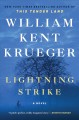 Go to record Lightning strike : a novel