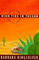 Go to record High tide in Tucson : essays from now or never