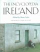 Go to record The encyclopedia of Ireland.