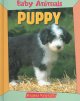 Puppy. Cover Image