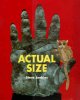 Actual size. Cover Image