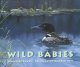 Wild babies  Cover Image