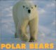 Go to record Polar bears